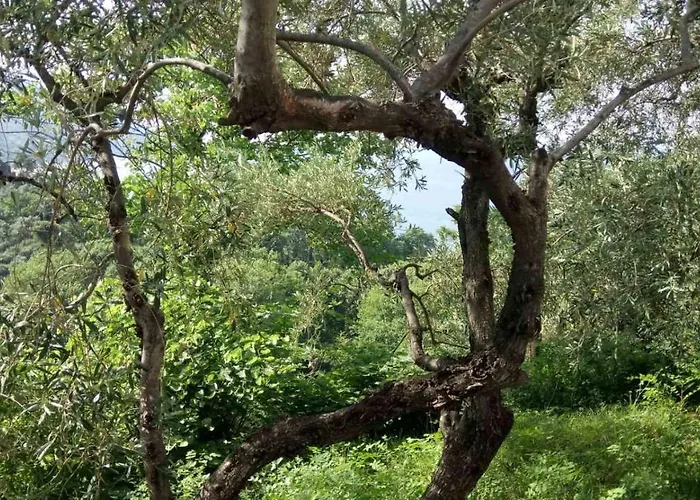 Alex Seaview House * Khorevtón